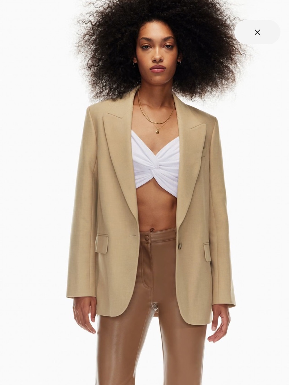 Aritzia Wilfred Flores Blazer
